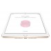 Планшеты APPLE iPad
