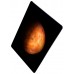 Планшеты APPLE iPad
